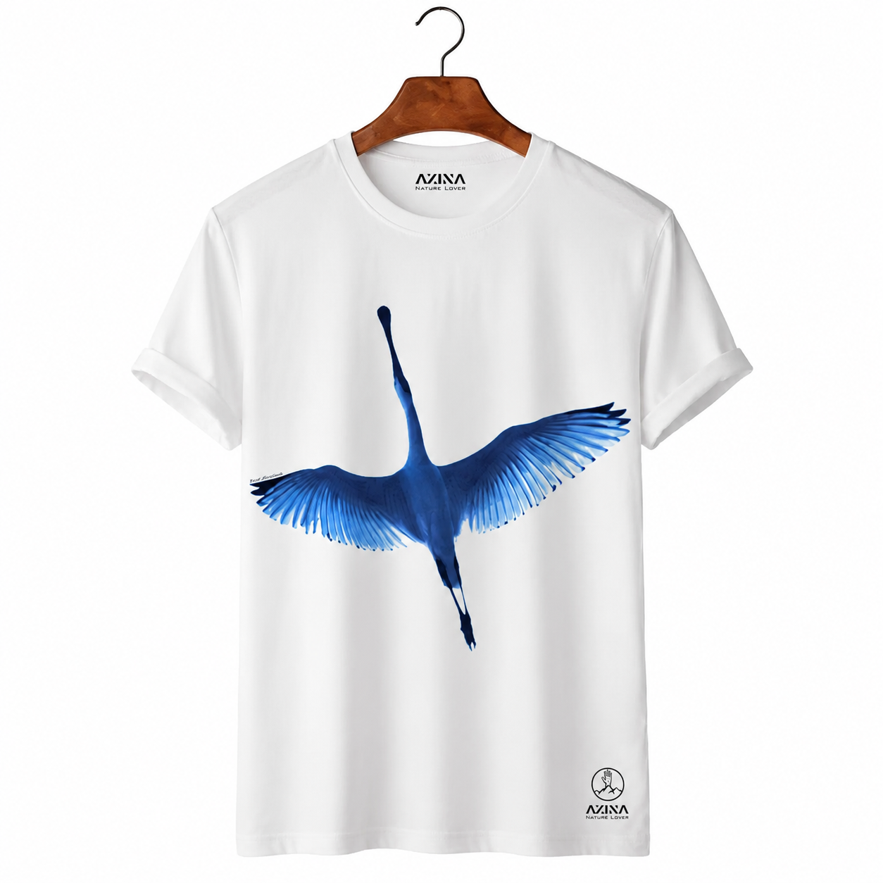 axina